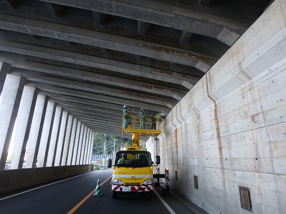 H29 道路補修（交付金）（詳細点検）調査委託（成川一号橋工区外）