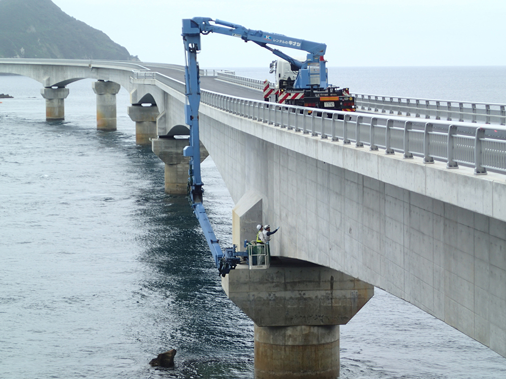 R1 道路整備（交付金）維持管理計画策定業務委託（藺牟田瀬戸架橋）